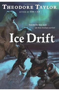 Ice Drift - Theodore Taylor