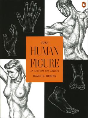 The Human Figure: An Anatomy for Artists - David K. Rubins