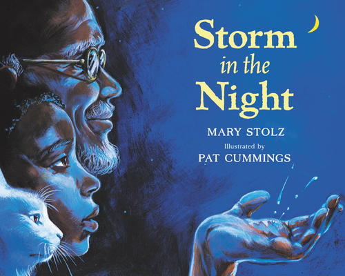 Storm in the Night - Mary Stolz