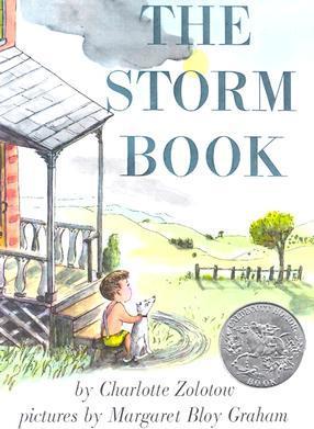 The Storm Book - Charlotte Zolotow