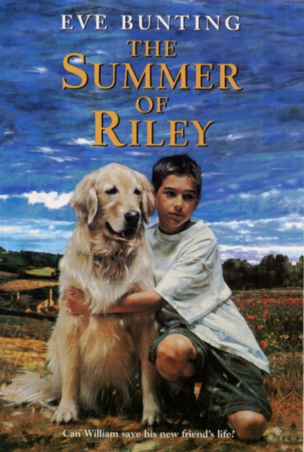 The Summer of Riley - Eve Bunting