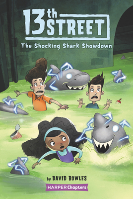 13th Street #4: The Shocking Shark Showdown - David Bowles