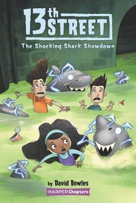 13th Street #4: The Shocking Shark Showdown - David Bowles
