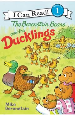 The Berenstain Bears and the Ducklings - Mike Berenstain