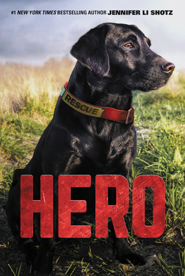 Hero - Jennifer Li Shotz