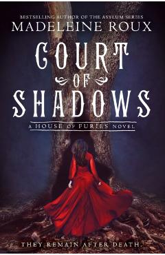 Court of Shadows - Madeleine Roux