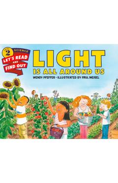 Light Is All Around Us - Wendy Pfeffer