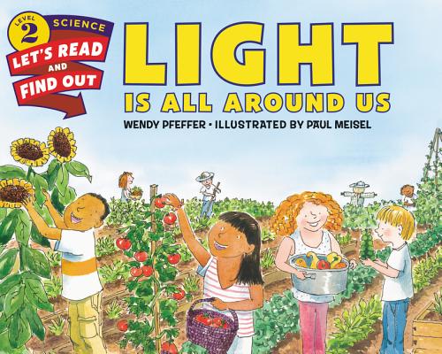 Light Is All Around Us - Wendy Pfeffer