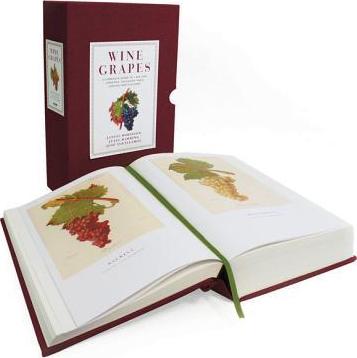 Wine Grapes: A Complete Guide to 1,368 Vine Varieties, Including Their Origins and Flavours - Jancis Robinson