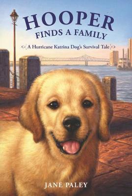 Hooper Finds a Family: A Hurricane Katrina Dog's Survival Tale - Jane Paley