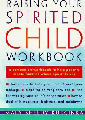 Raising Your Spirited Child Workbook - Mary Sheedy Kurcinka