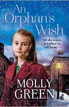 Coperta cărții 'An Orphan's Wish - Molly Green'