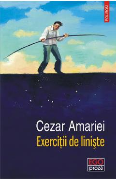 Coperta cărții 'Exercitii de liniste - Cezar Amariei'