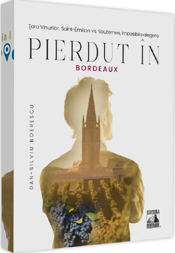 Pierdut in Bordeaux - Dan-Silviu Boerescu