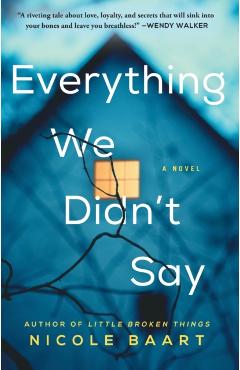 Everything We Didn't Say - Nicole Baart