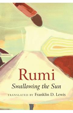 Rumi: Swallowing the Sun - Franklin D. Lewis