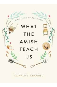 What the Amish Teach Us: Plain Living in a Busy World - Donald B. Kraybill