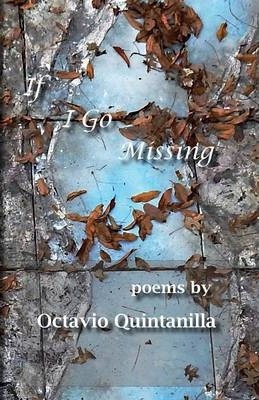 If I Go Missing - Octavio Quintanilla