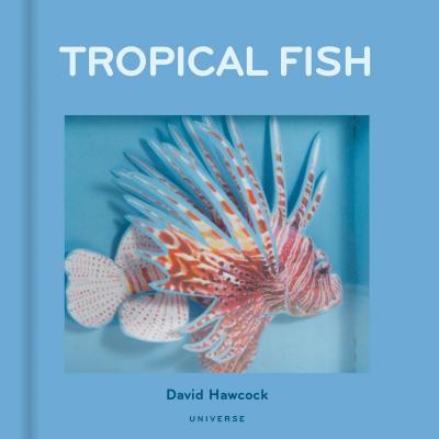Tropical Fish: Pop-Up - David Hawcock
