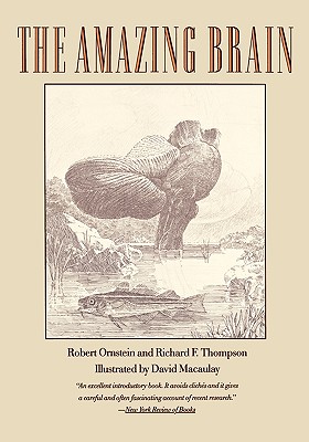 The Amazing Brain - Robert Ornstein