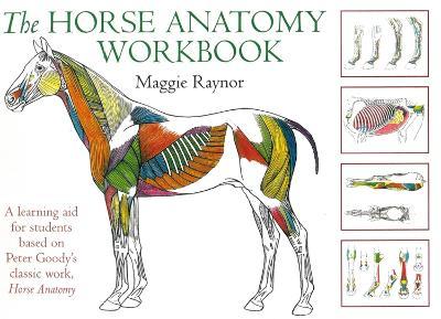 The Horse Anatomy Workbook: A Learning Aid for Students Based on Peter Goody's Classic Work, Horse Anatomy - Maggie Raynor