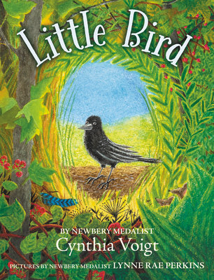 Little Bird - Cynthia Voigt
