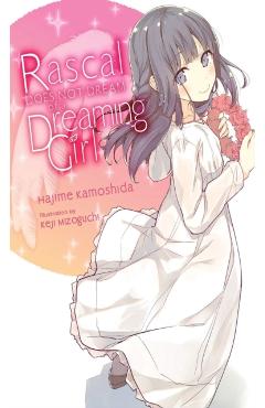 Rascal Does Not Dream of a Dreaming Girl (Light Novel) - Hajime Kamoshida