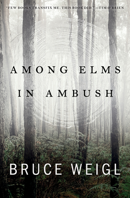 Among Elms, in Ambush - Bruce Weigl