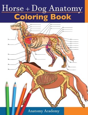 Horse + Dog Anatomy Coloring Book: 2-in-1 Compilation Incredibly Detailed Self-Test Equine & Canine Anatomy Color workbook Perfect Gift for Veterinary - Anatomy Academy
