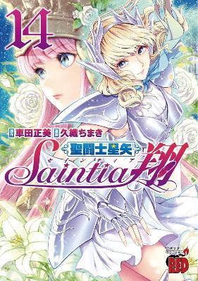 Saint Seiya: Saintia Sho Vol. 14 - Masami Kurumada