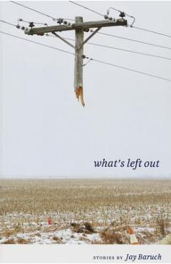 Coperta cărții 'What's Left Out: Stories - Jay Baruch'