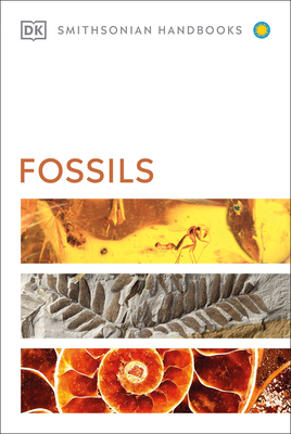 Fossils - Dk
