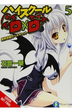 High School DXD, Vol. 5 (Light Novel): Hellcat of the Underworld Training Camp - Ichiei Ishibumi