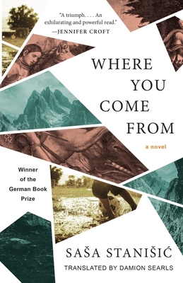 Where You Come from - Sasa Stanisic
