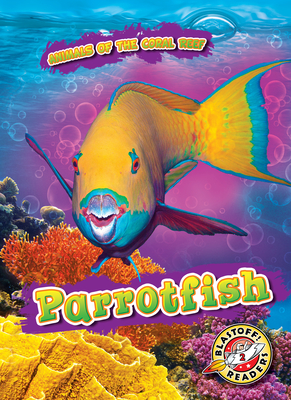 Parrotfish - Kate Moening