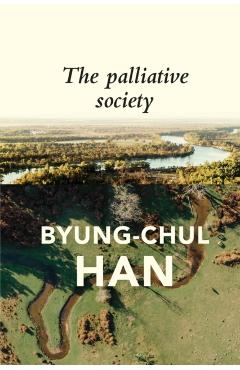 The Palliative Society: Pain Today - Byung-chul Han