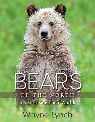 Bears of the North: A Year Inside Their Worlds - Wayne Lynch