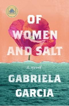 Of Women and Salt - Gabriela Garcia