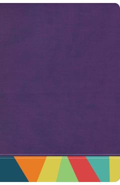 Poza produsului Rvr 1960 Biblia de Estudio Arcoiris, Morado/Multicolor - B&h Espa�ol Editorial