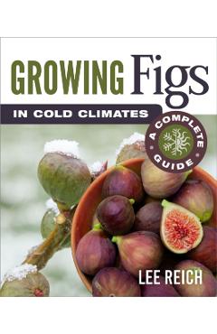 Growing Figs in Cold Climates: A Complete Guide - Lee Reich