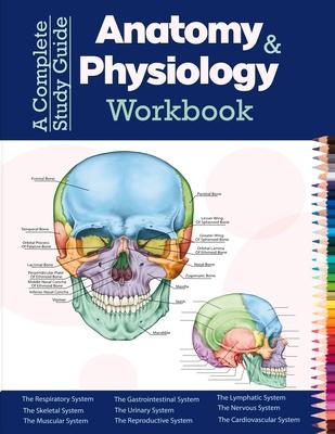 A Complete Study Guide Anatomy And Physiology Workbook: Incredibly Detailed Self-Test Color workbook for Studying and Relaxation Perfect Gift for Medi - Josh Zach Randall