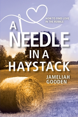 A Needle in a Haystack: How to Find Love in the Rubble - Jameliah Gooden