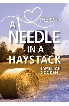 Poza produsului A Needle in a Haystack: How to Find Love in the Rubble - Jameliah Gooden