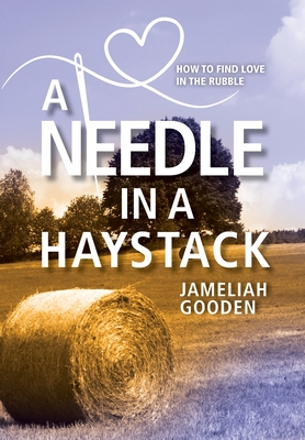 A Needle in a Haystack: How to Find Love in the Rubble - Jameliah Gooden