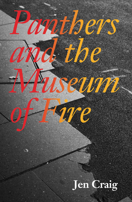 Panthers and the Museum of Fire - Jen Craig