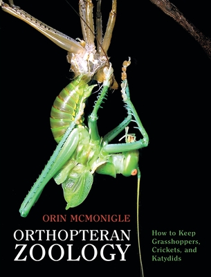 Orthopteran Zoology: How to Keep Grasshoppers, Crickets, and Katydids - Orin Mcmonigle