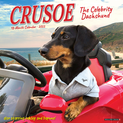 Crusoe the Celebrity Dachshund 2022 Wall Calendar - Ryan Beauchesne