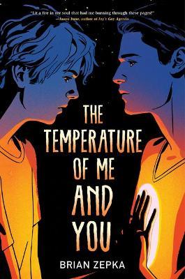 The Temperature of Me and You - Brian Zepka