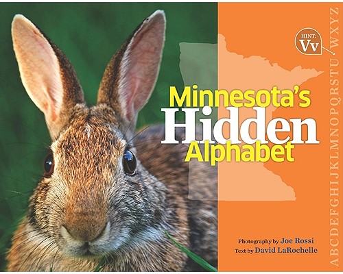 Minnesota's Hidden Alphabet - Joe Rossi