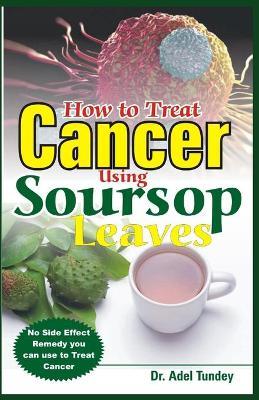 How to Treat Cancer Using Soursop Leaves: No Side Effect Remedy you can use to treat Cancer - Adel Tundey